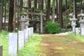 Yokoyama JinjaÃ£â¬â¬Shinto shrine in Shiga Pref, Japan